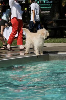 IMG_3643.jpg