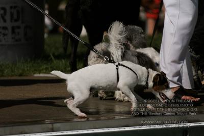 IMG_3679.jpg