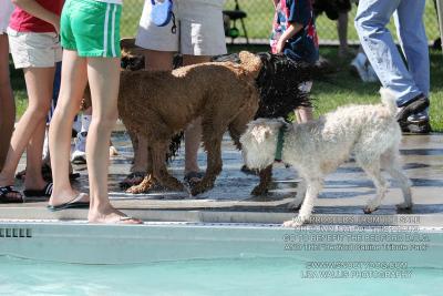 IMG_3702.jpg