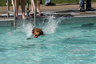 IMG_3752.jpg