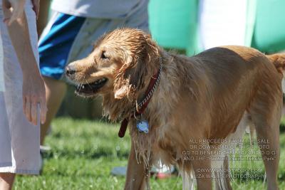 IMG_3756.jpg