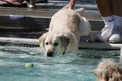 IMG_3775.jpg