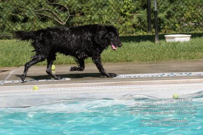 IMG_3784.jpg