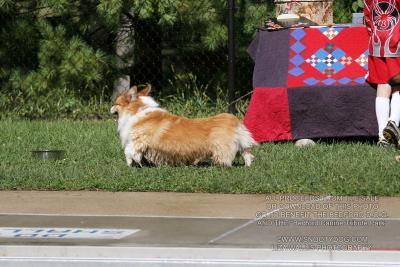 IMG_3887.jpg