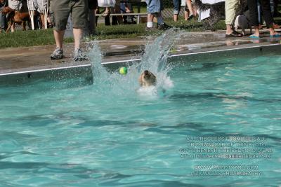 IMG_3894.jpg