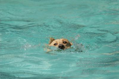 IMG_3897.jpg
