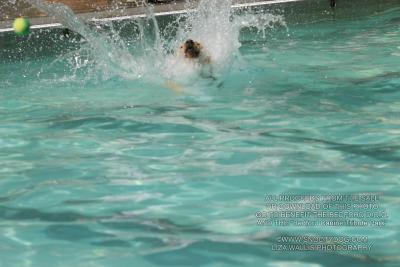 IMG_3899.jpg