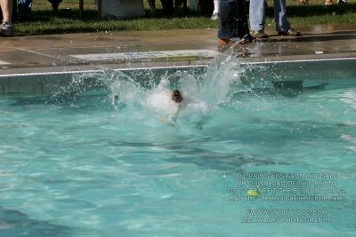 IMG_3906.jpg