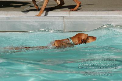 IMG_3911.jpg