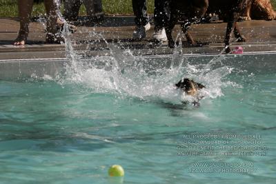 IMG_3997.jpg