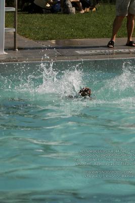 IMG_4013.jpg
