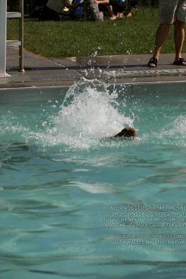 IMG_4014.jpg