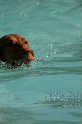 IMG_4015.jpg
