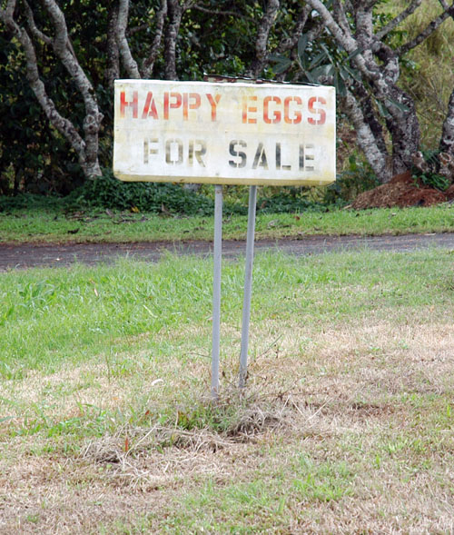 Happy Eggs . . .jpg