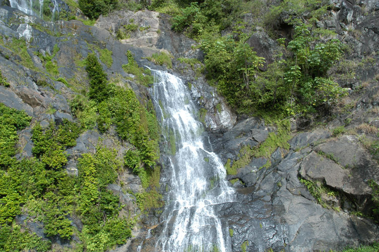 DSC_2287.jpg