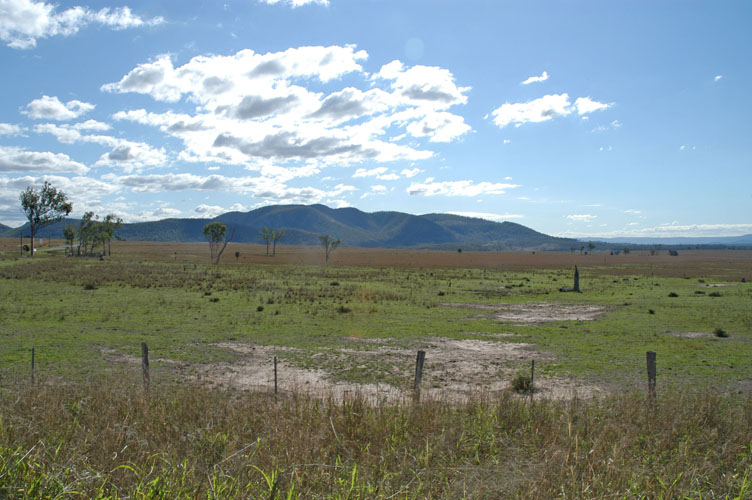 where the dingos and kangaroos play . . .jpg