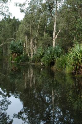 DSC_2510.jpg