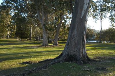 roadside park-picnic area.jpg