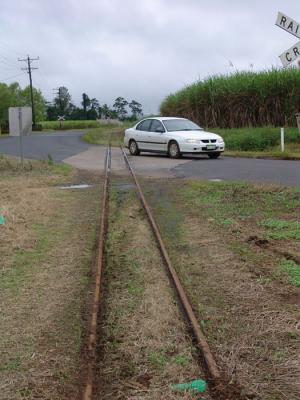 Sugar Cane train tracks.jpg