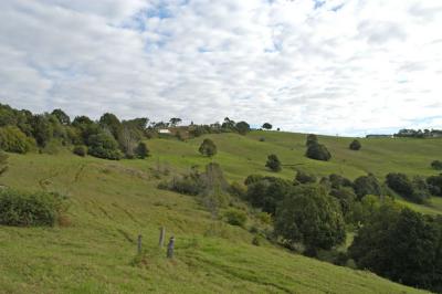 Tweed Valley 04.jpg