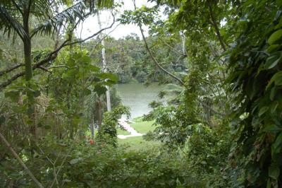 Kuranda 01.jpg