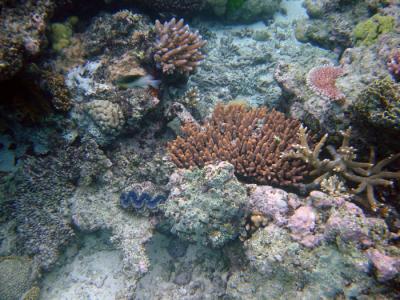 v3/16/290516/3/46547830.GreatBarrierReef.jpg