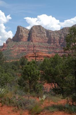 Sedona Red Rock J11.jpg