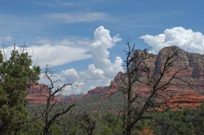 Sedona Red Rock J12.jpg