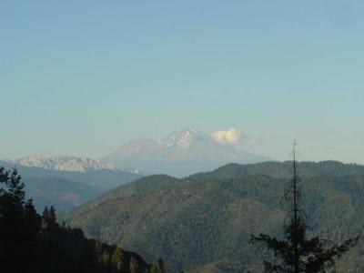 113  Mt. Shasta