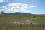 where the dingos and kangaroos play . . .jpg