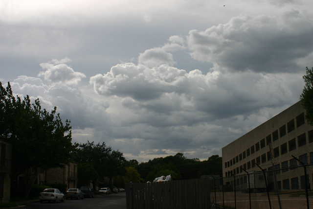 IMG_1695.JPG
