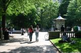 Copy of IMG_1235.JPG