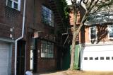 Copy of IMG_1260.JPG