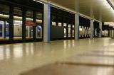 Copy of IMG_1358.JPG
