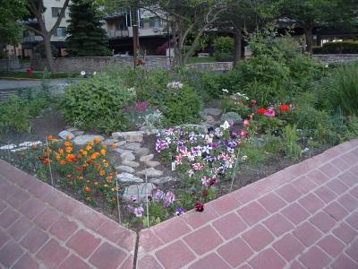 new plantings