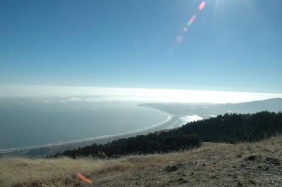 view