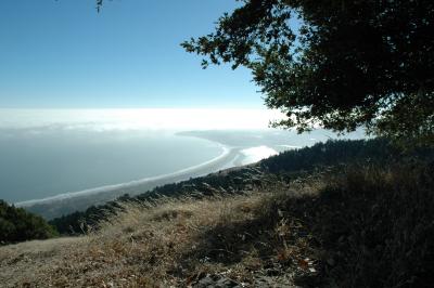 view