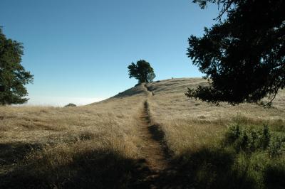 path