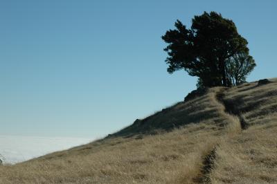 path