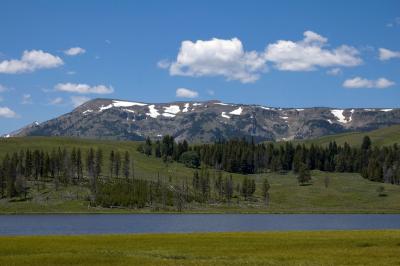 Hayden Valley                                                                                   DSC_2260