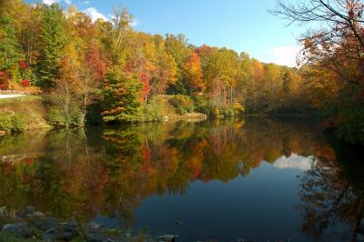 Fall Reflections