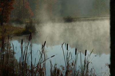 Morning Mist Reflection