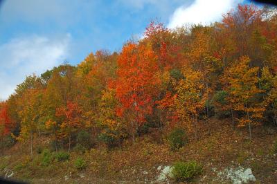 Blue Ridge Parkway NC