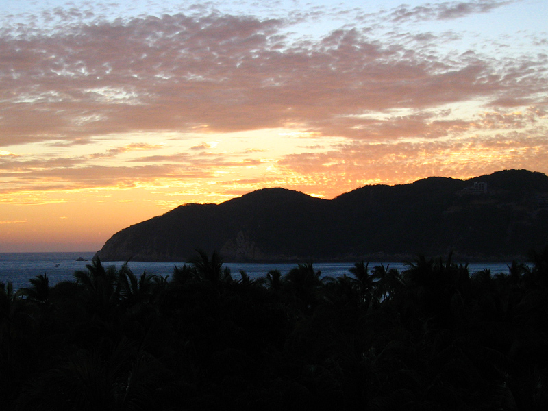 IMG_1865.jpg