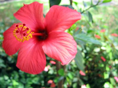 IMG_0801.jpg