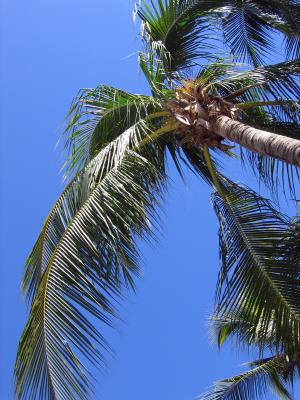 IMG_1928.jpg
