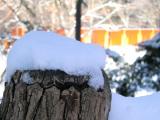 IMG_1766.jpg