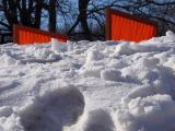 IMG_1818.jpg