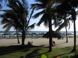 IMG_865a.jpg