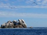 IMG_1974.jpg